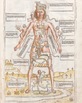 Terry Dagradi/Medical Historical Library